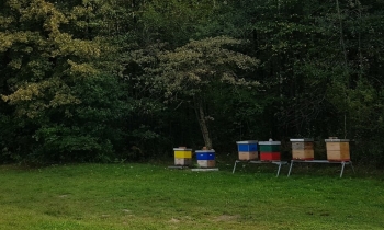 Field trials at Cerovac test site